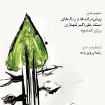 کتاب پیش درآمدها و رنگ های شهنازی برای کمانچه
