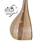 سه تار نوروزیان