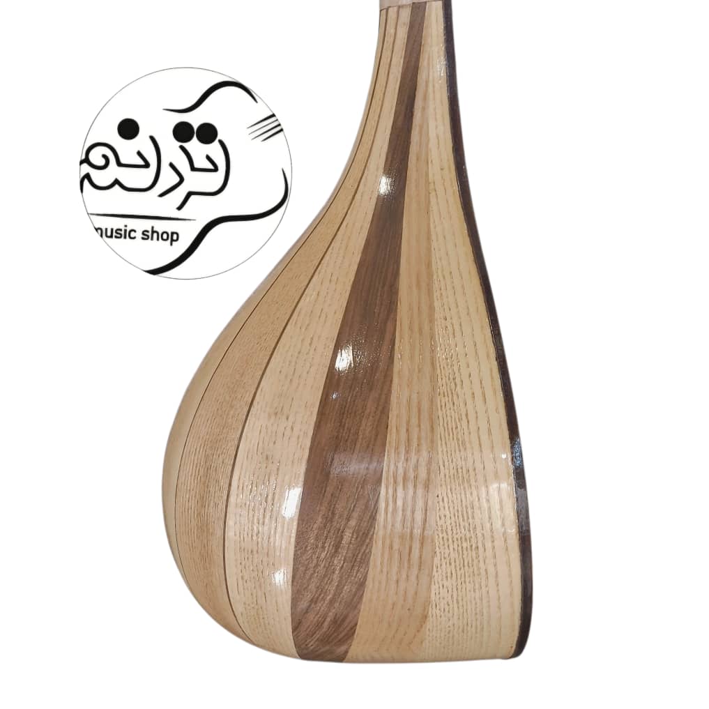 سه تار نوروزیان سه تار نوروزیان